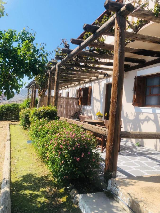 Apartment Niotis *
