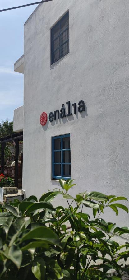 Apartment Enalia