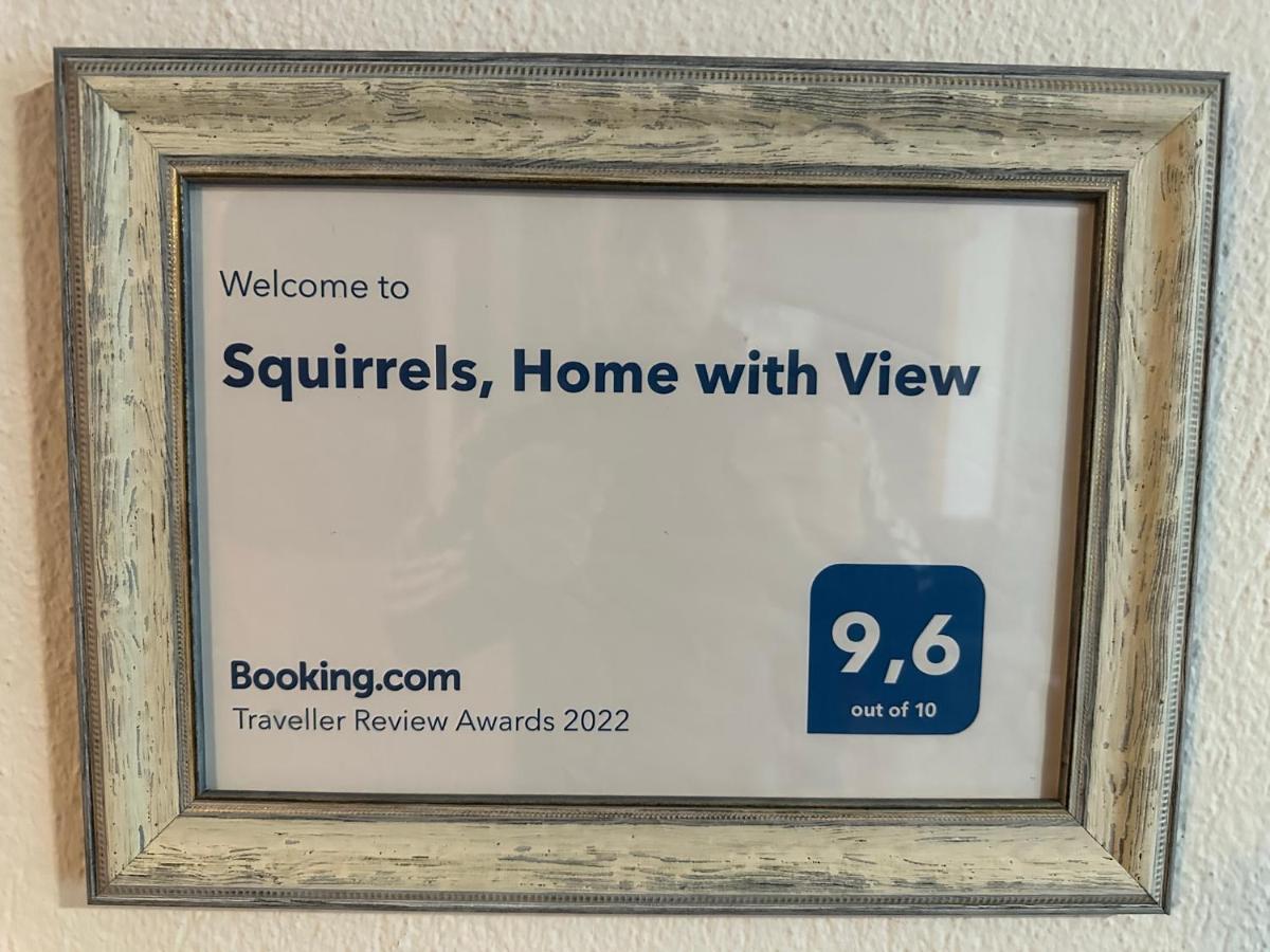 Squirrels, With View