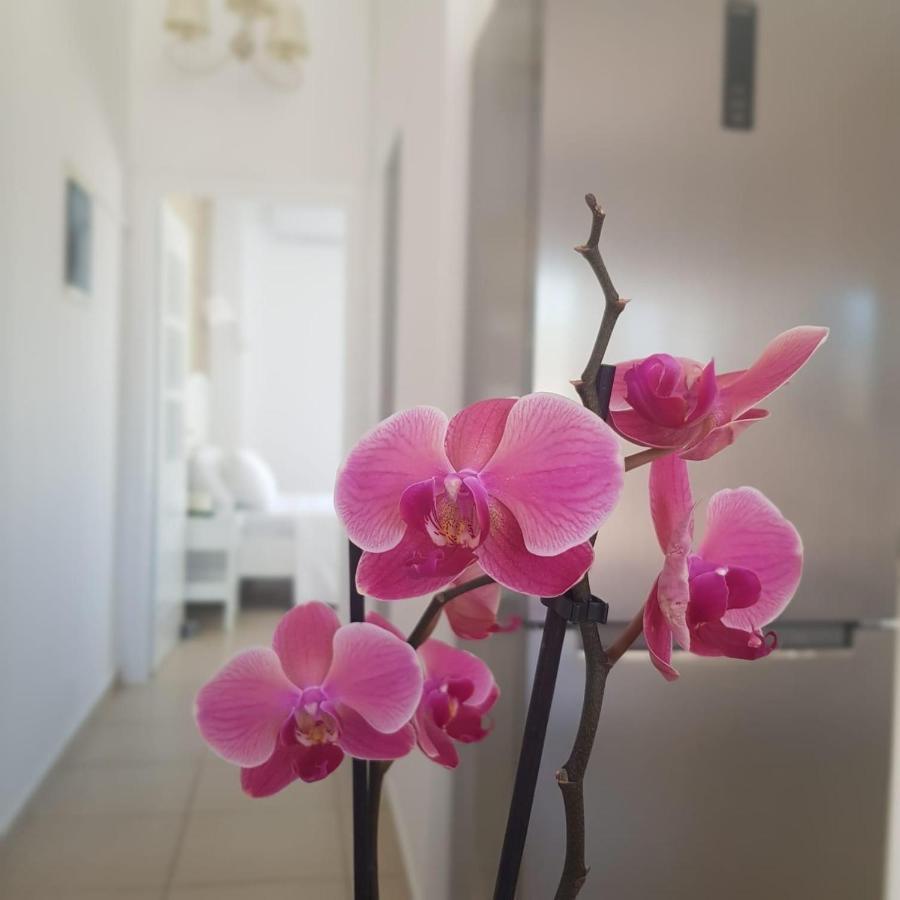 Apartment Katy's Luxury Aparments Paralia Kourna