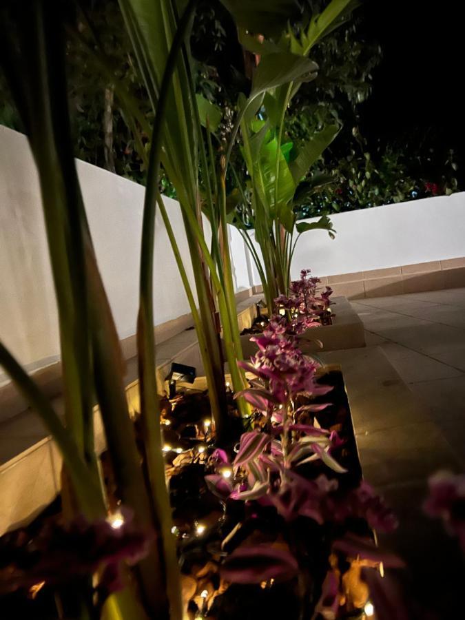 Elefanti Nani Apartment Livadia (Tilos)