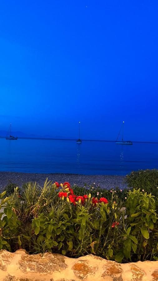 Elefanti Nani Apartment Livadia (Tilos)