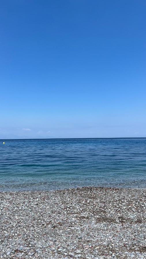 Elefanti Nani Apartment Livadia (Tilos)