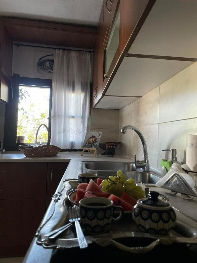 πετροχτιστο αρχοντικό με υπεροχή θεα