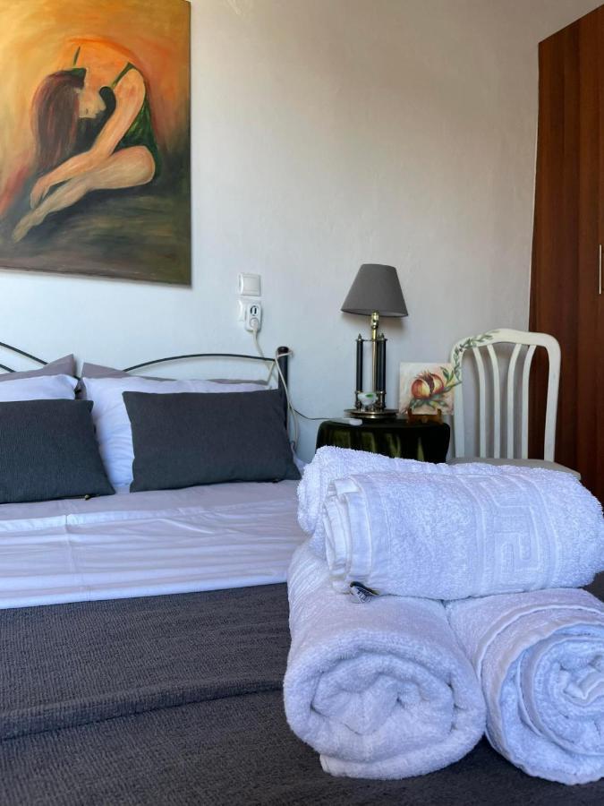 πετροχτιστο αρχοντικό με υπεροχή θεα Holiday home