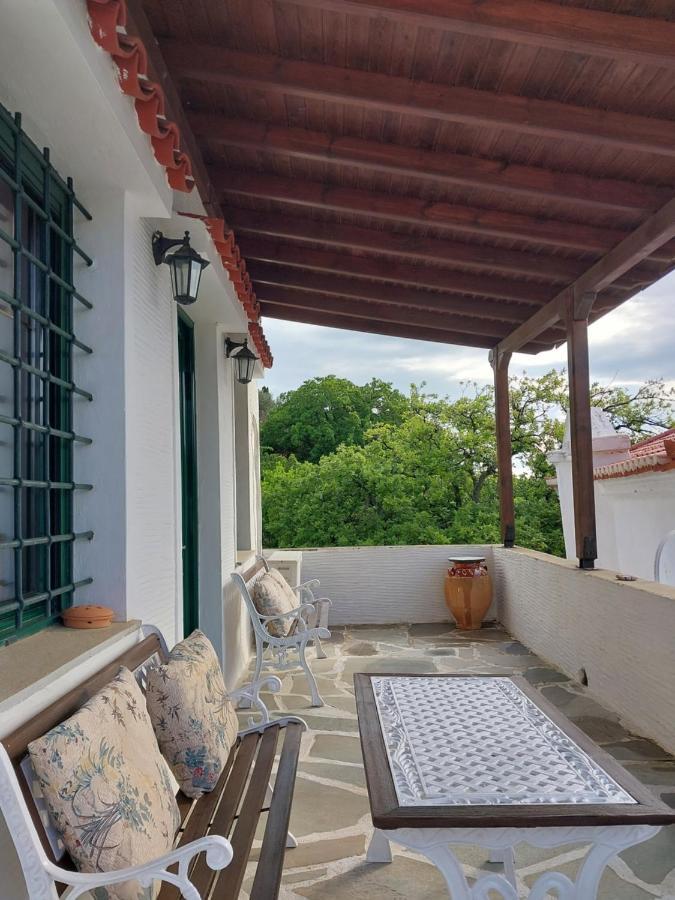 Xenia's Traditional House * Andros Town
