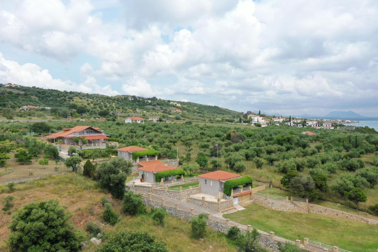 Alexandros Seaside Family & - Paradise, 7' From Petalidi Apartment