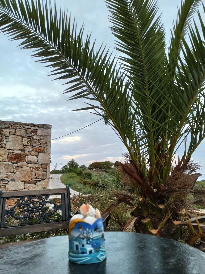 Katerina's #2 Holiday home *