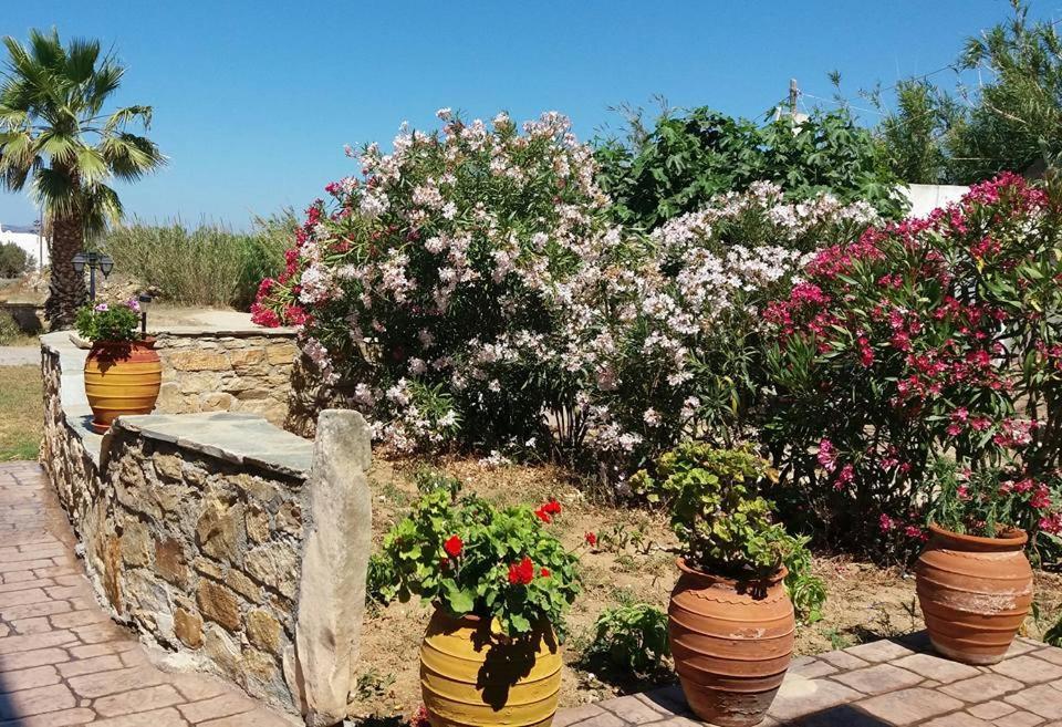 Apartment Danai Agia Anna (Naxos)