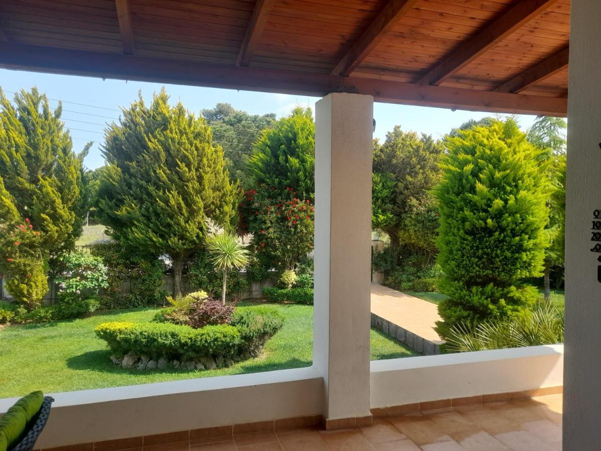 Beautiful Summer In Chalkoutsi Villa