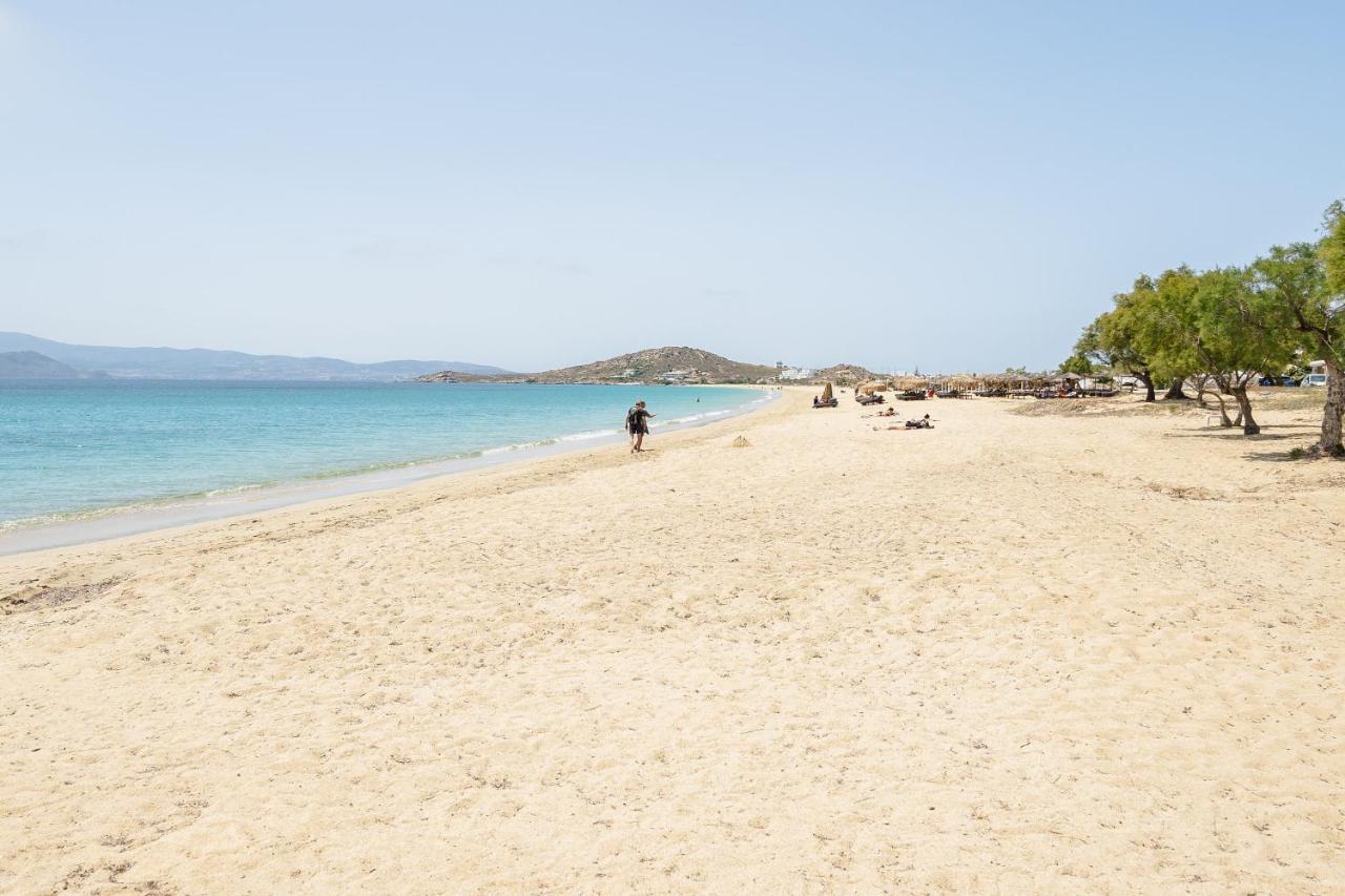 Flerianos Naxos Aparthotel