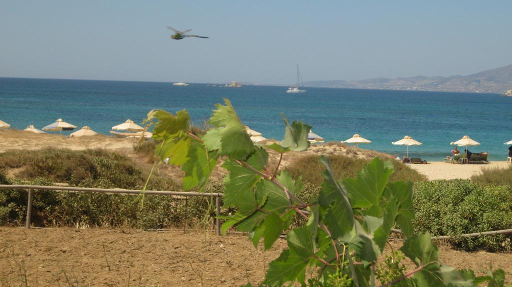 Aronis Naxos Apartment