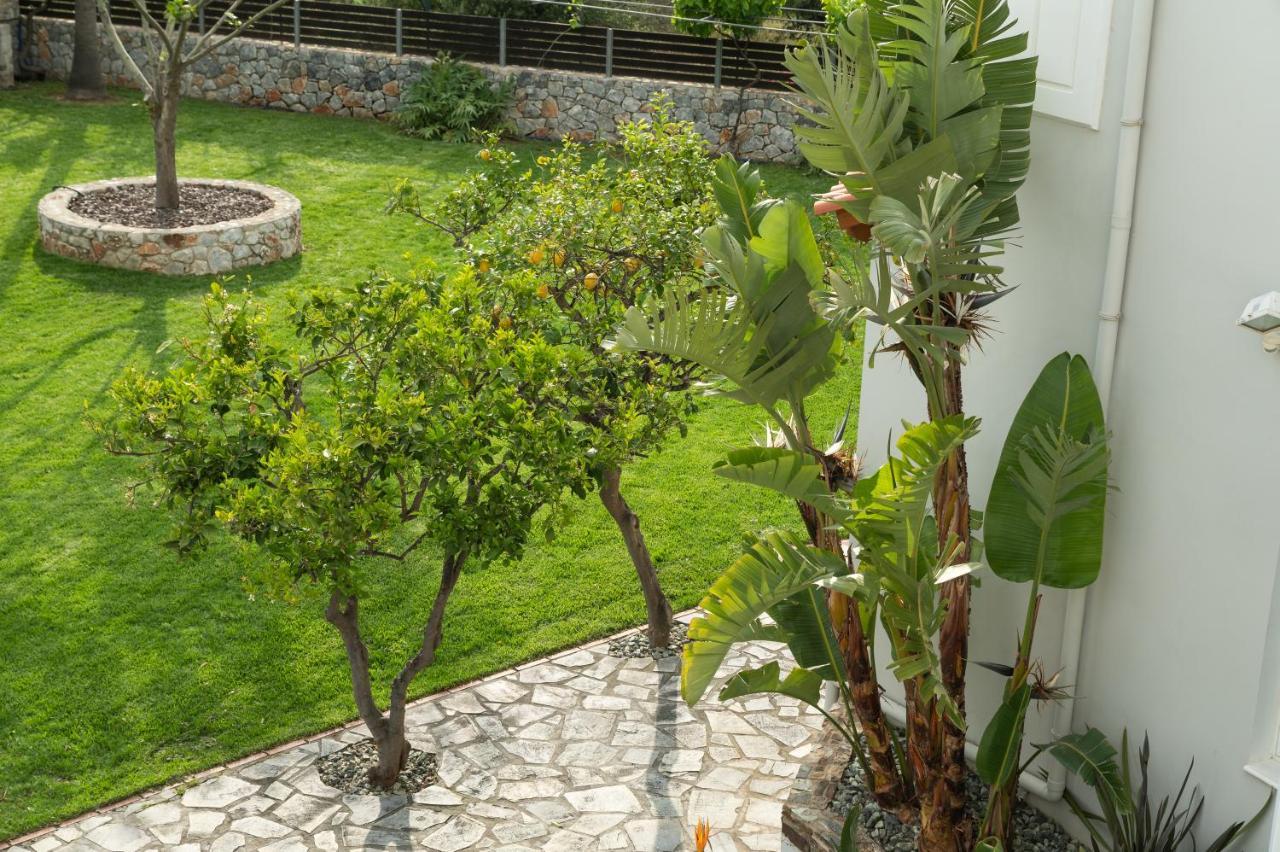 Villa Tranquilla Kolymbari