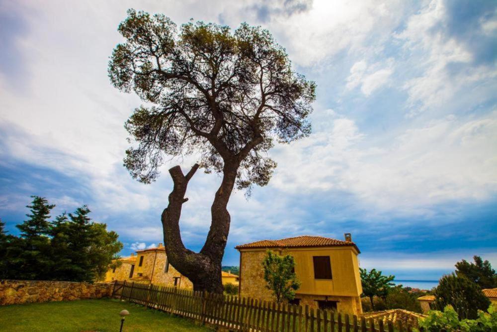 Valia Suite, Stone House * Siviri