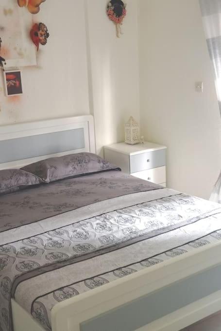 Sophie's Summer House Apartment Nea Fokea