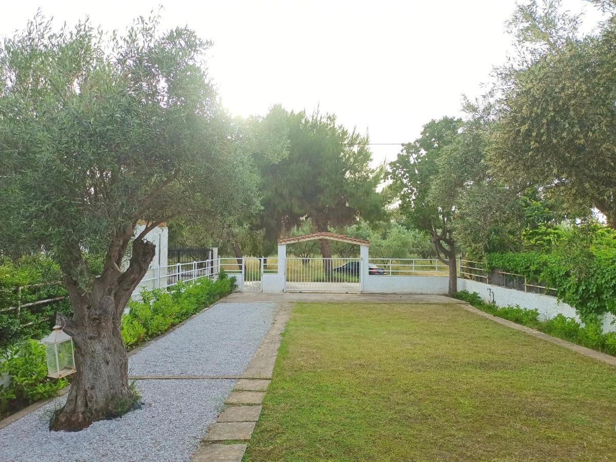 Apartment Alykesbeachhouse Drosia (Central Greece)