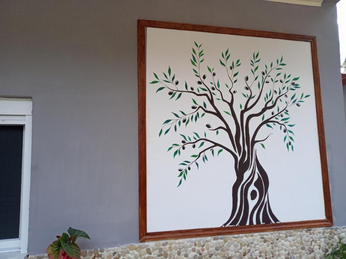 Olive Tree Holiday home