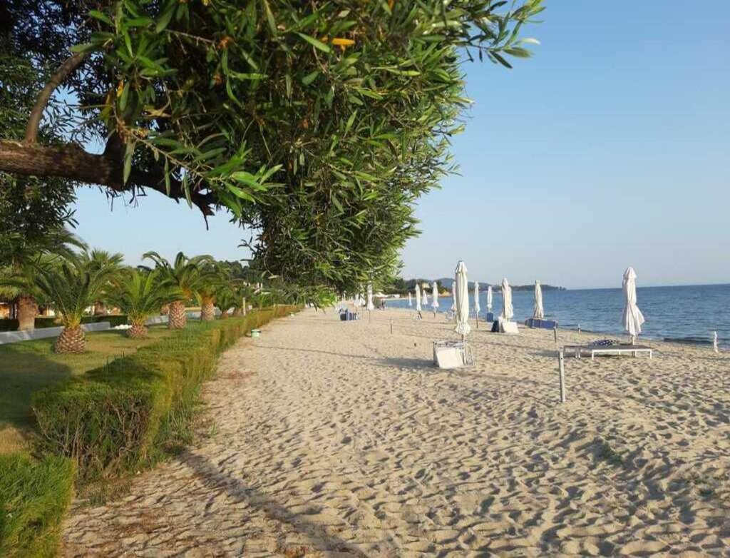 Stunning Beachfront For Rent Holiday home