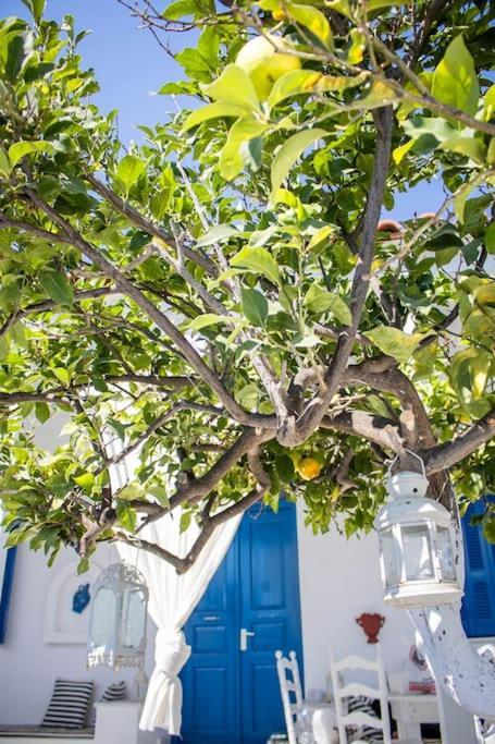 Lemonia House Apartment Vivlos