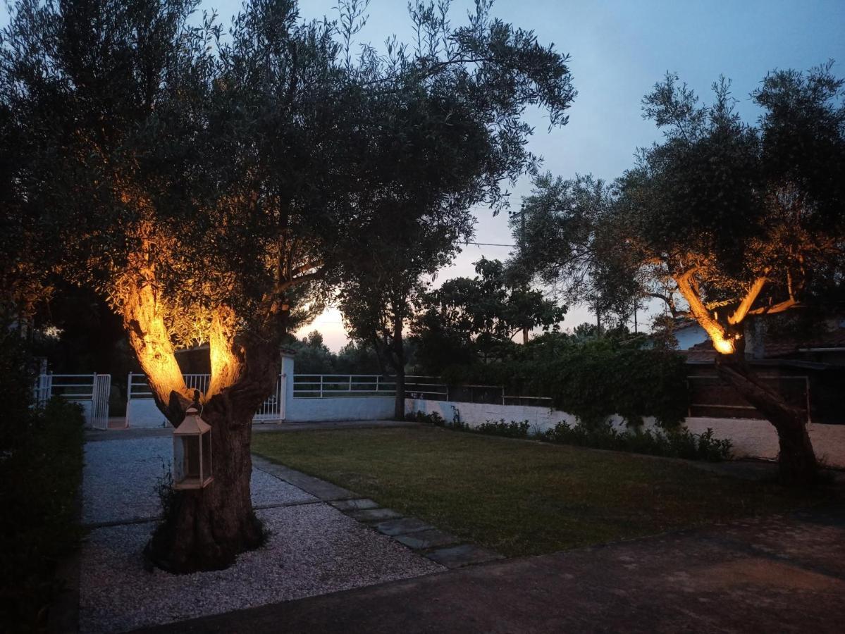 Alykesbeachhouse * Drosia (Central Greece)