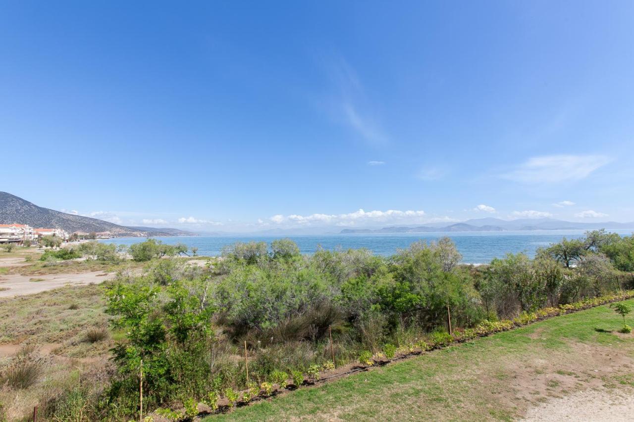 Apartment Marirena Plaz *