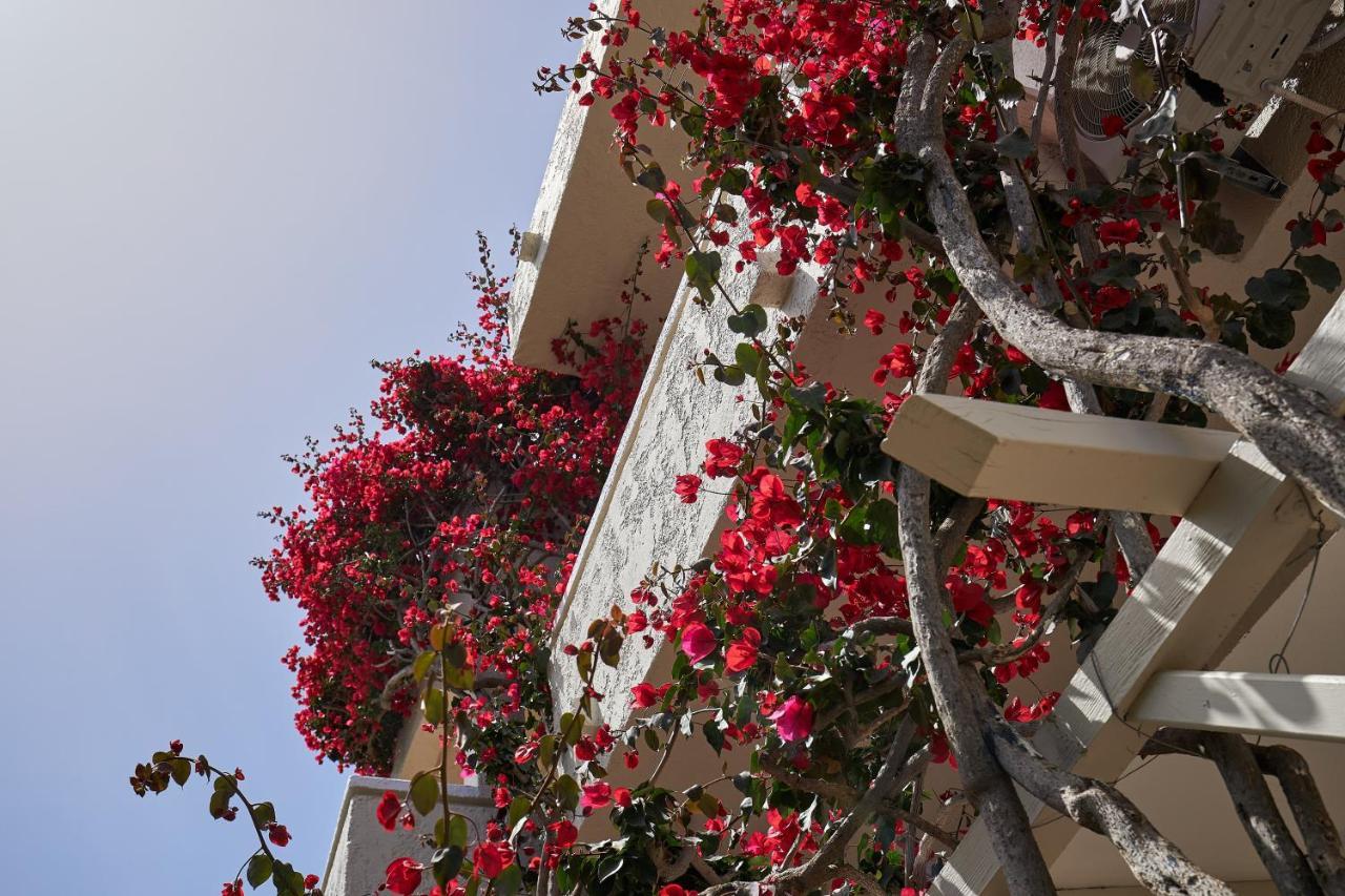 Mila Aparthotel Malia (Crete)