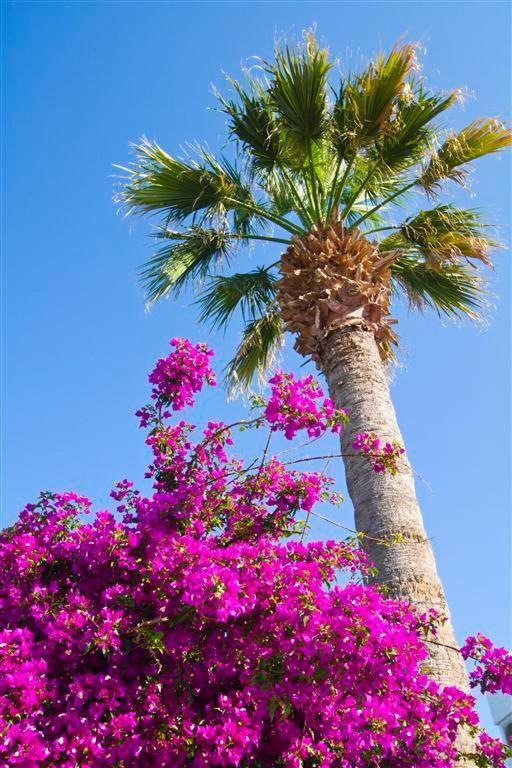 Abella Hotel Crete Island