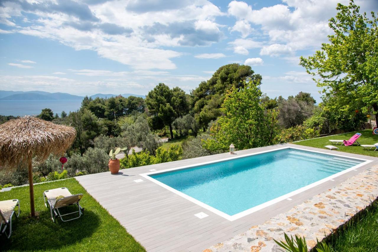 Calypso With Jacuzzi Pool & Sea View *