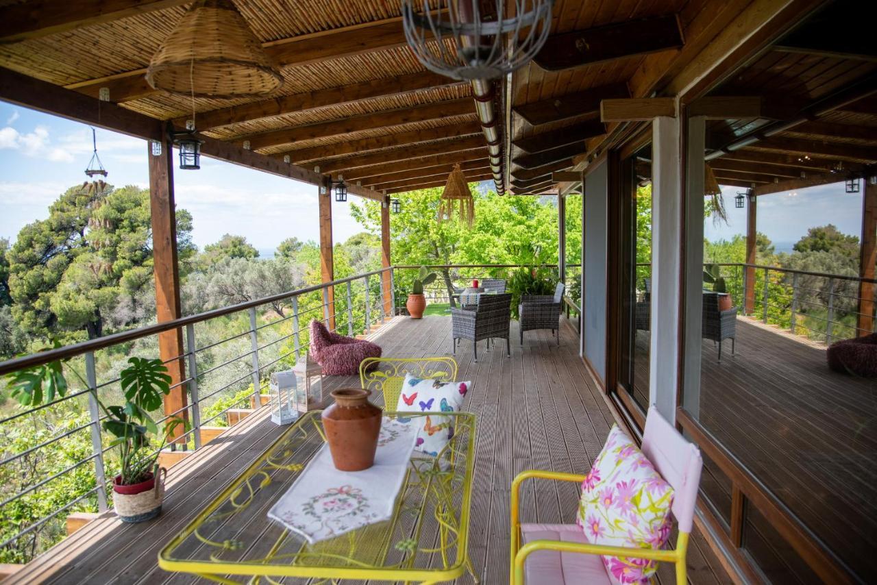 Calypso With Jacuzzi Pool & Sea View Villa