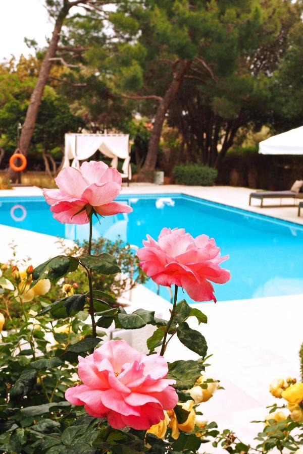 Villa Oasis With Large Pool Athenian Riviera Lagonissi