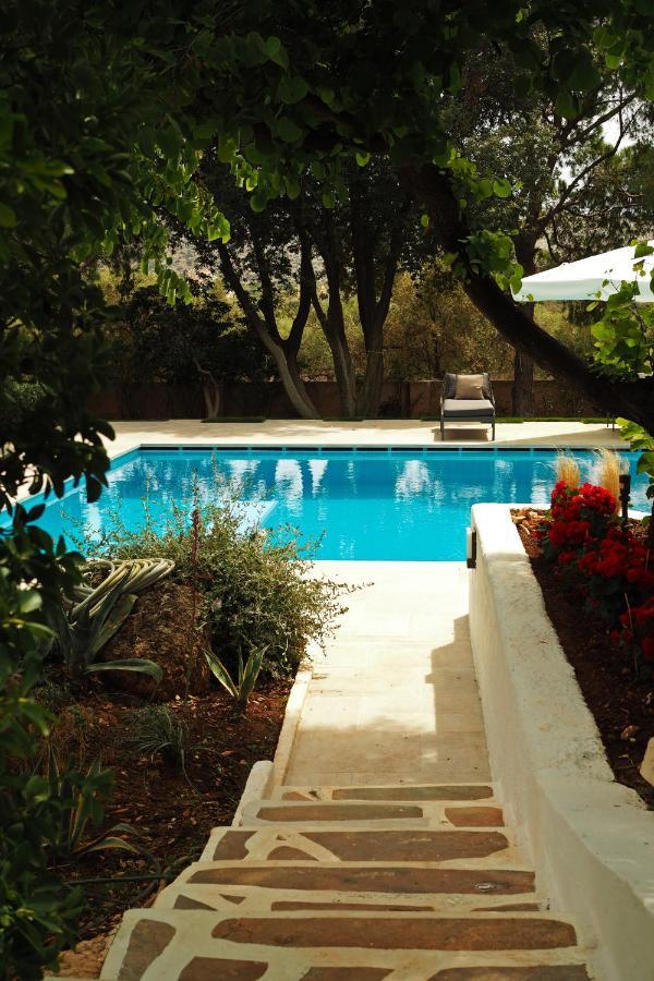 Oasis With Large Pool Athenian Riviera Lagonissi *