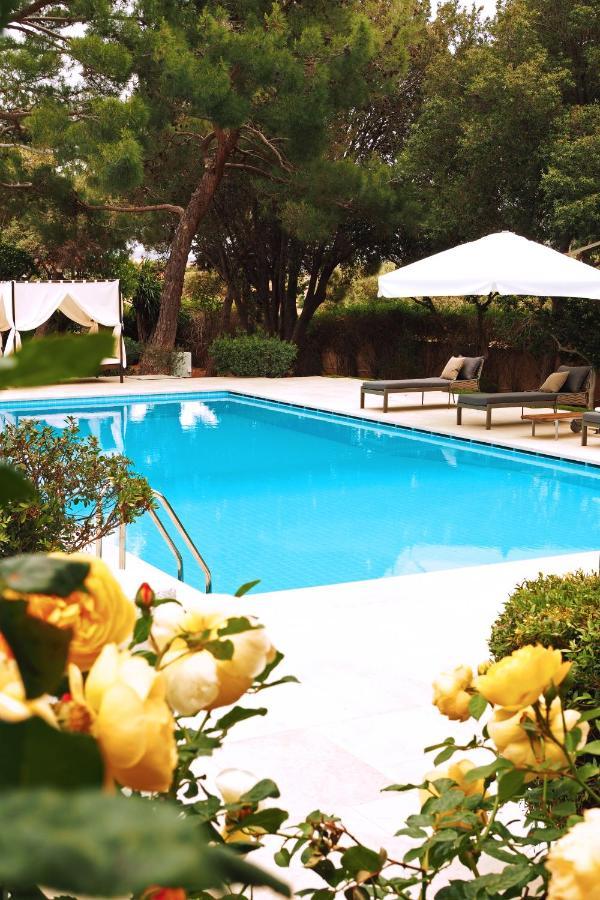 Villa Oasis With Large Pool Athenian Riviera Lagonissi *