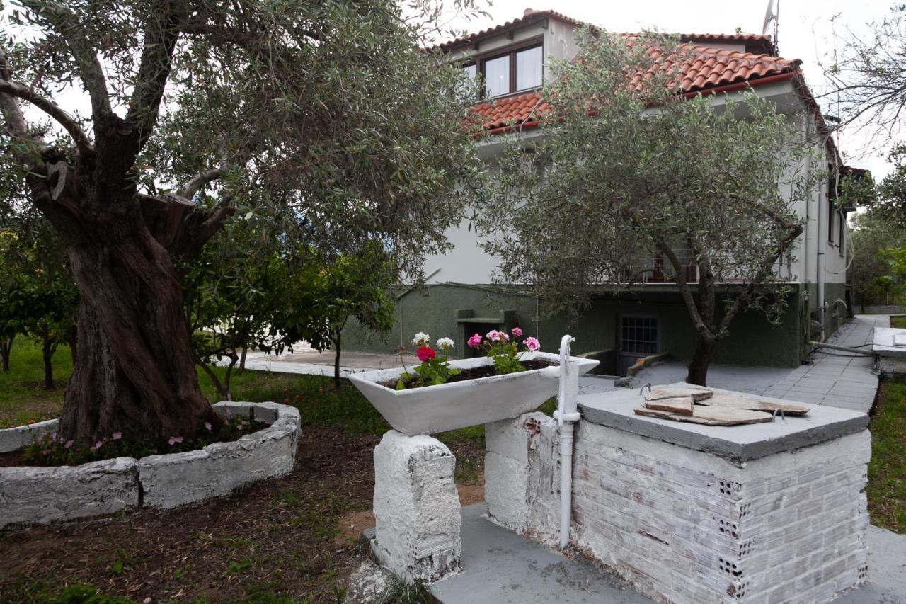 Villa Alex