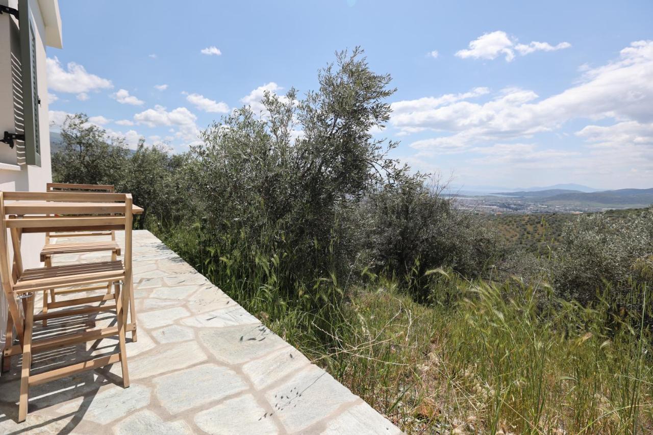 Apartment Little House In The Olive Grove *