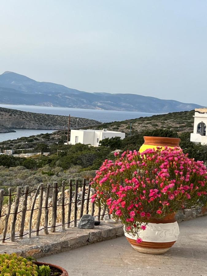 Alexandra Guest house