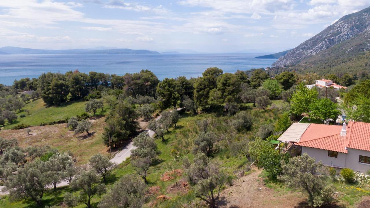 Calypso With Jacuzzi Pool & Sea View Villa *