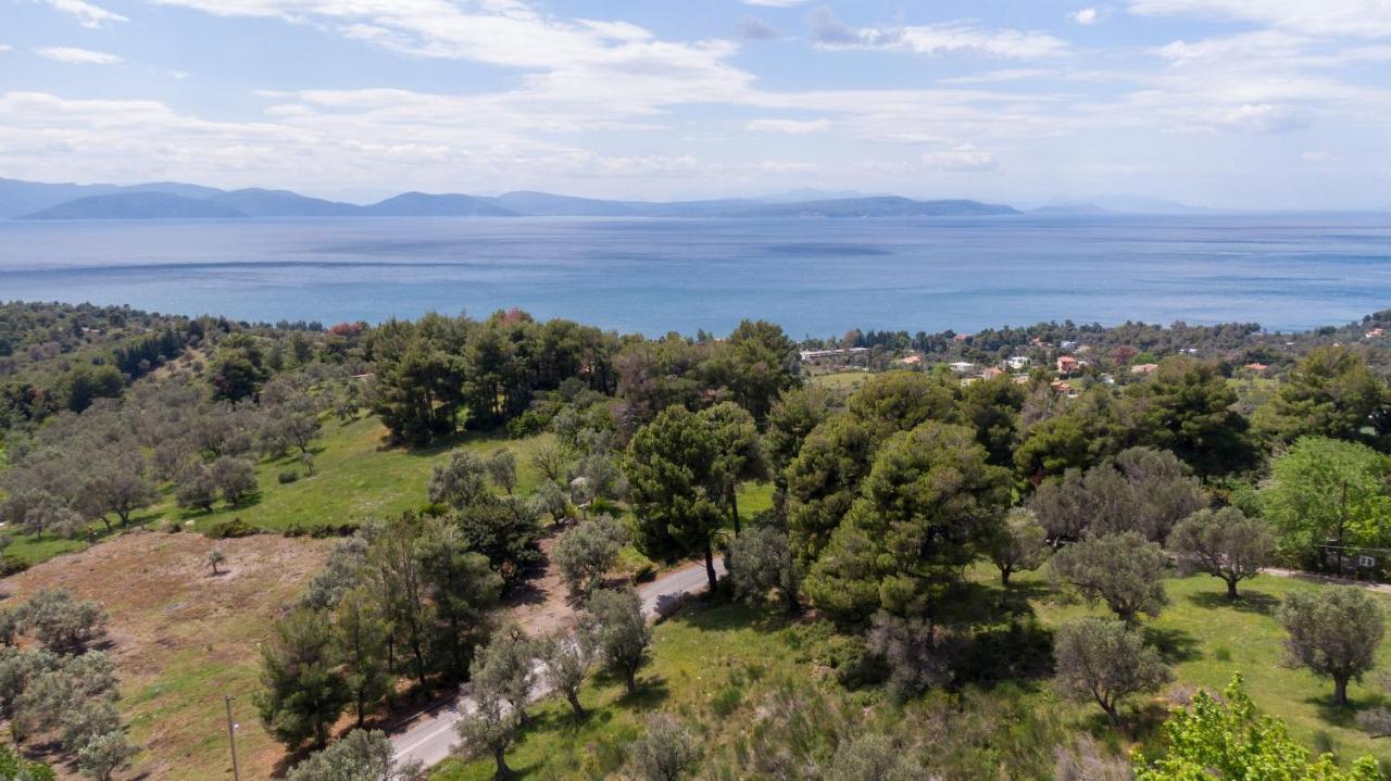 Villa Calypso With Jacuzzi Pool & Sea View