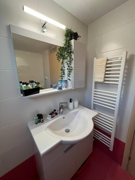Argoapartment *