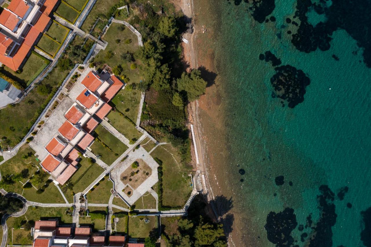 Seaside Paradise
