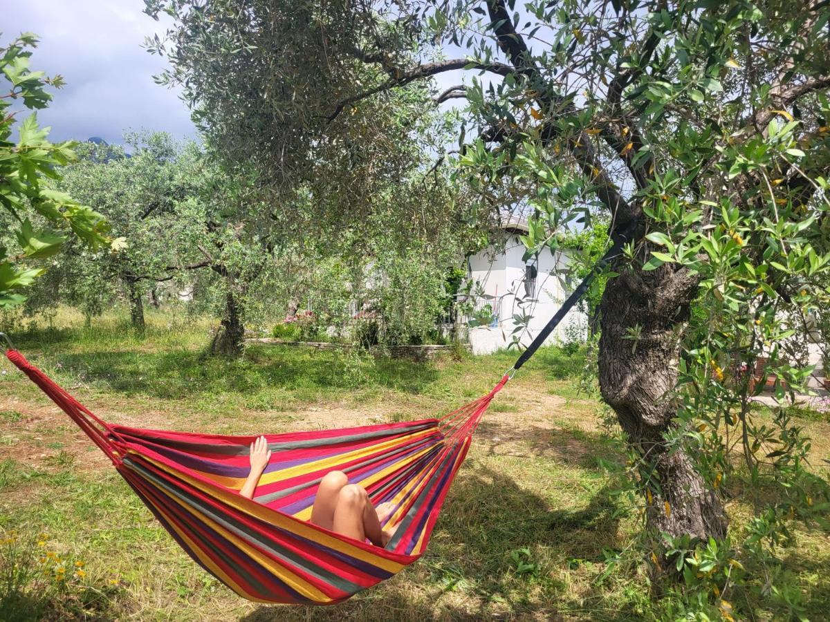Holiday home Ioannis - Gemuetliches Im Olivenhain