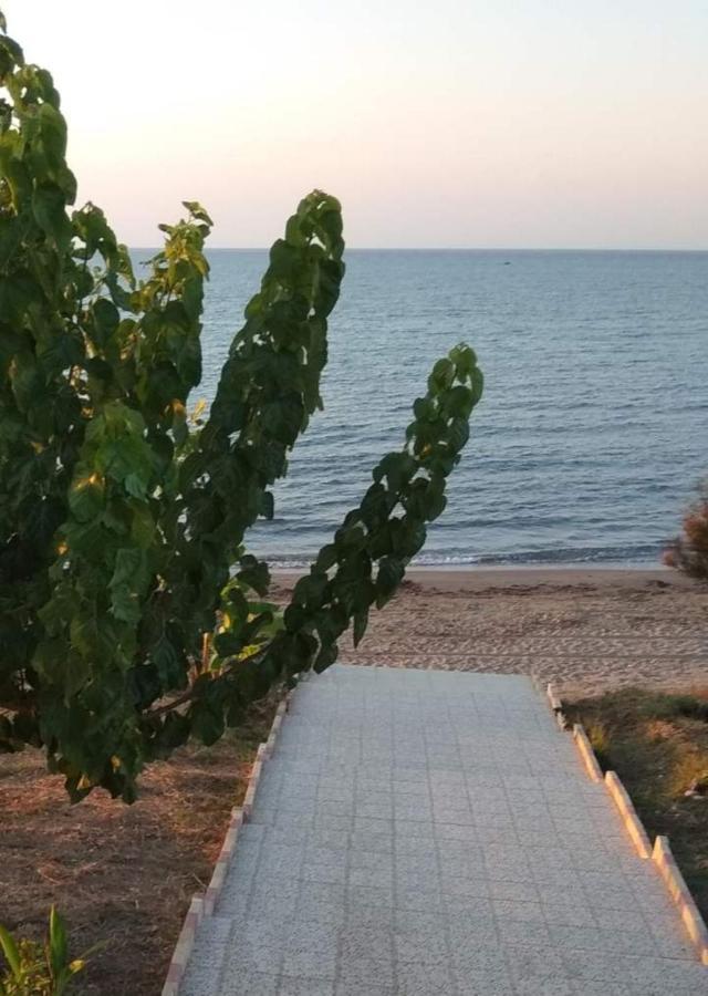 Holiday home Theo House In Kyllini Zakynthos *