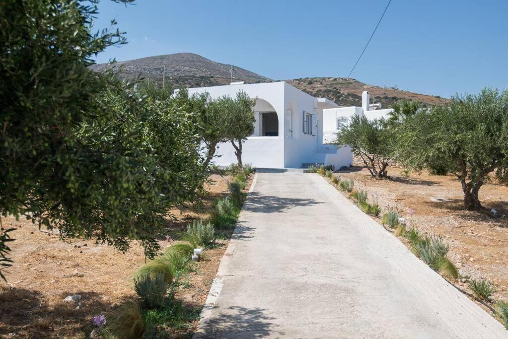 Mfp Dryos Paros House Project