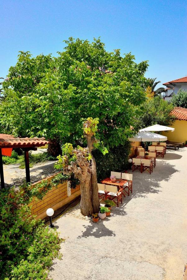 Studio Nikiti Beach *