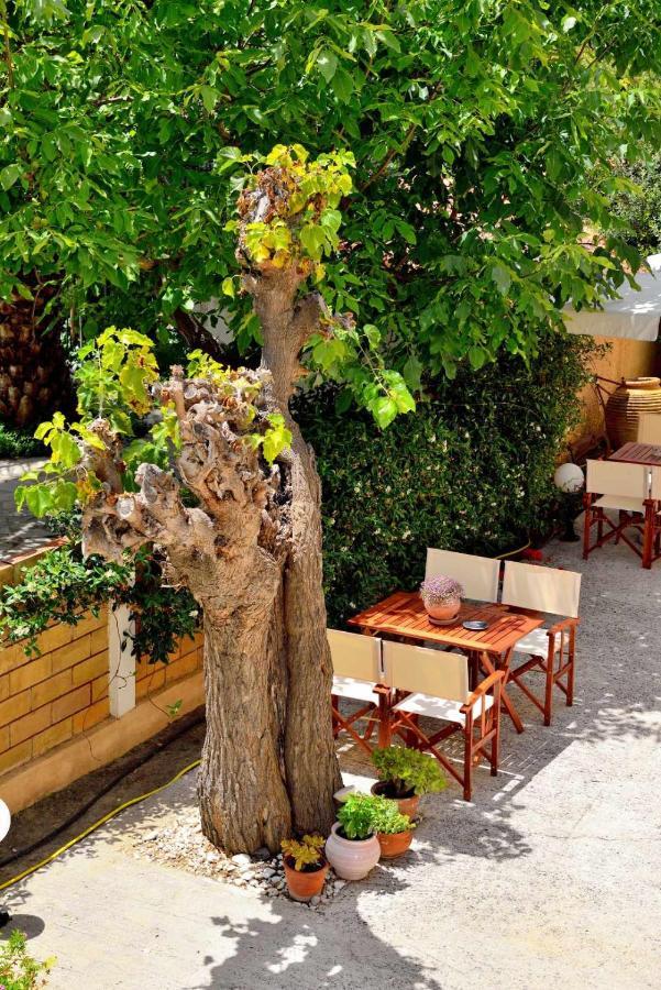 Studio Nikiti Beach Hotel *