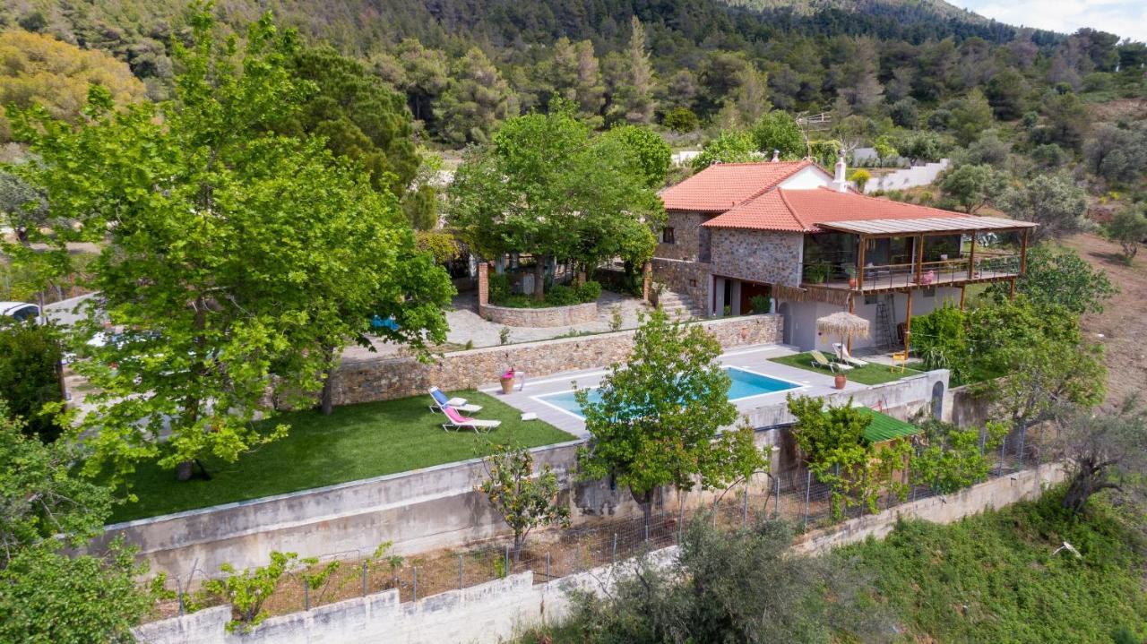 Calypso With Jacuzzi Pool & Sea View Villa