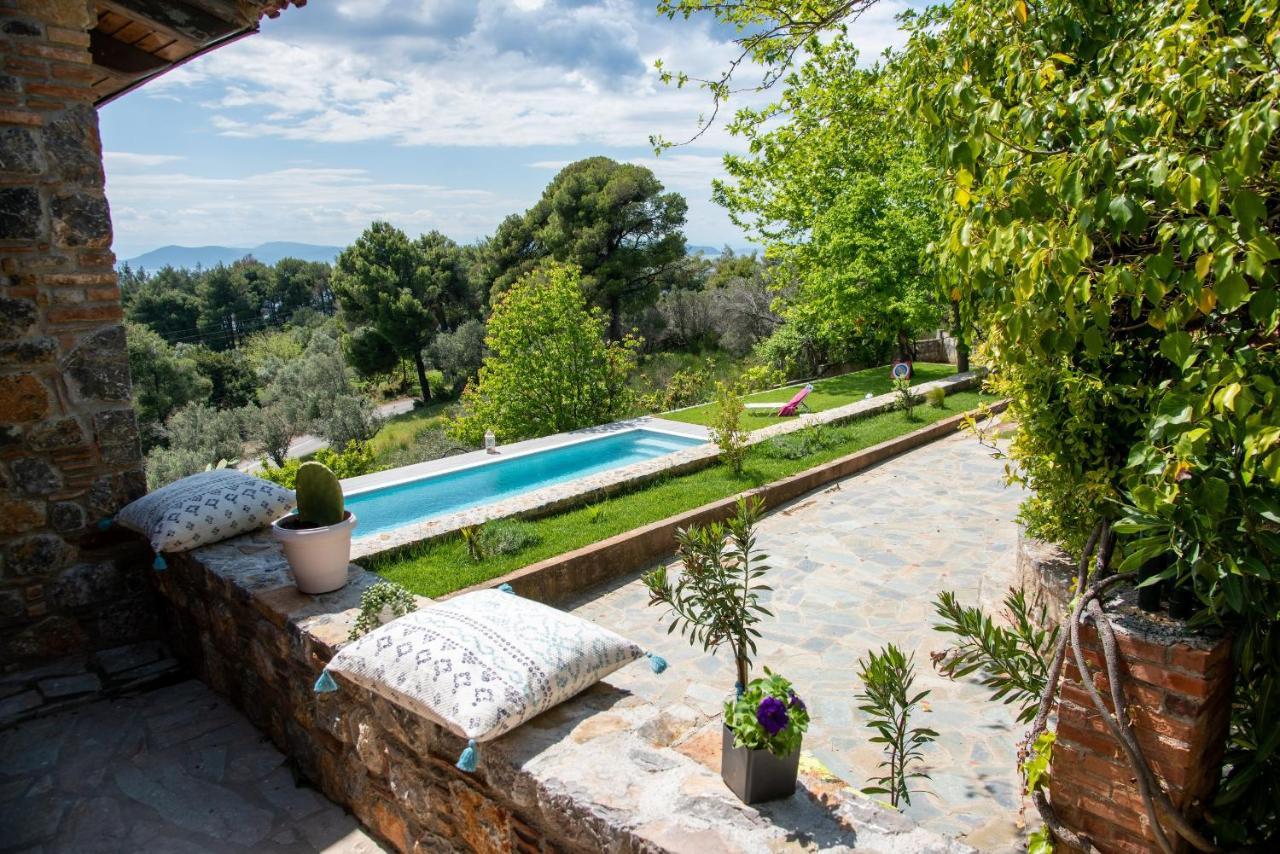Calypso With Jacuzzi Pool & Sea View Villa Nerotrivia