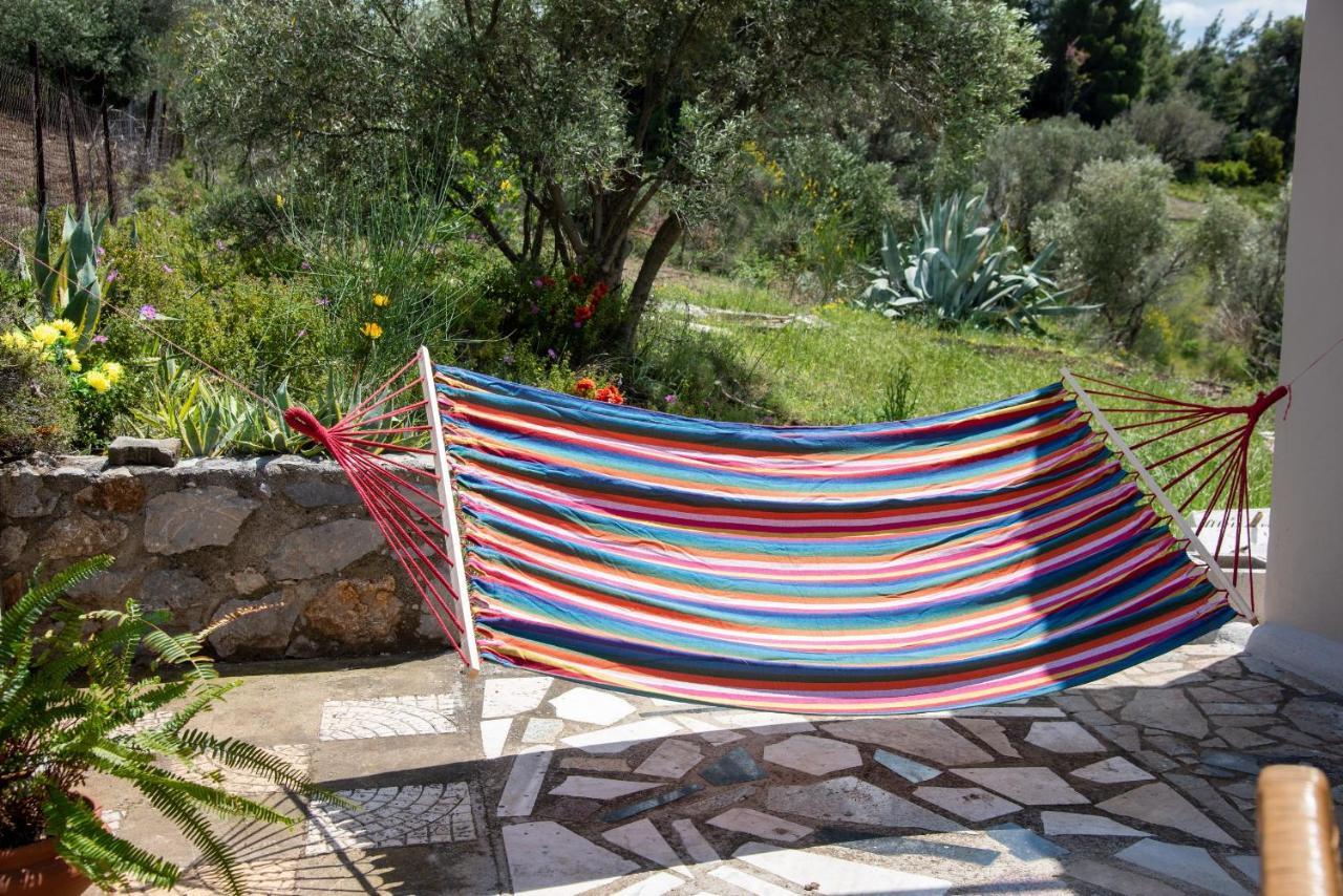 Villa Calypso With Jacuzzi Pool & Sea View Nerotrivia