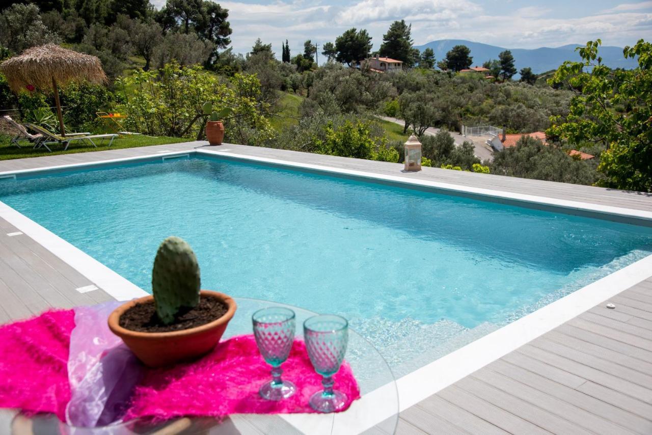 Calypso With Jacuzzi Pool & Sea View Villa *