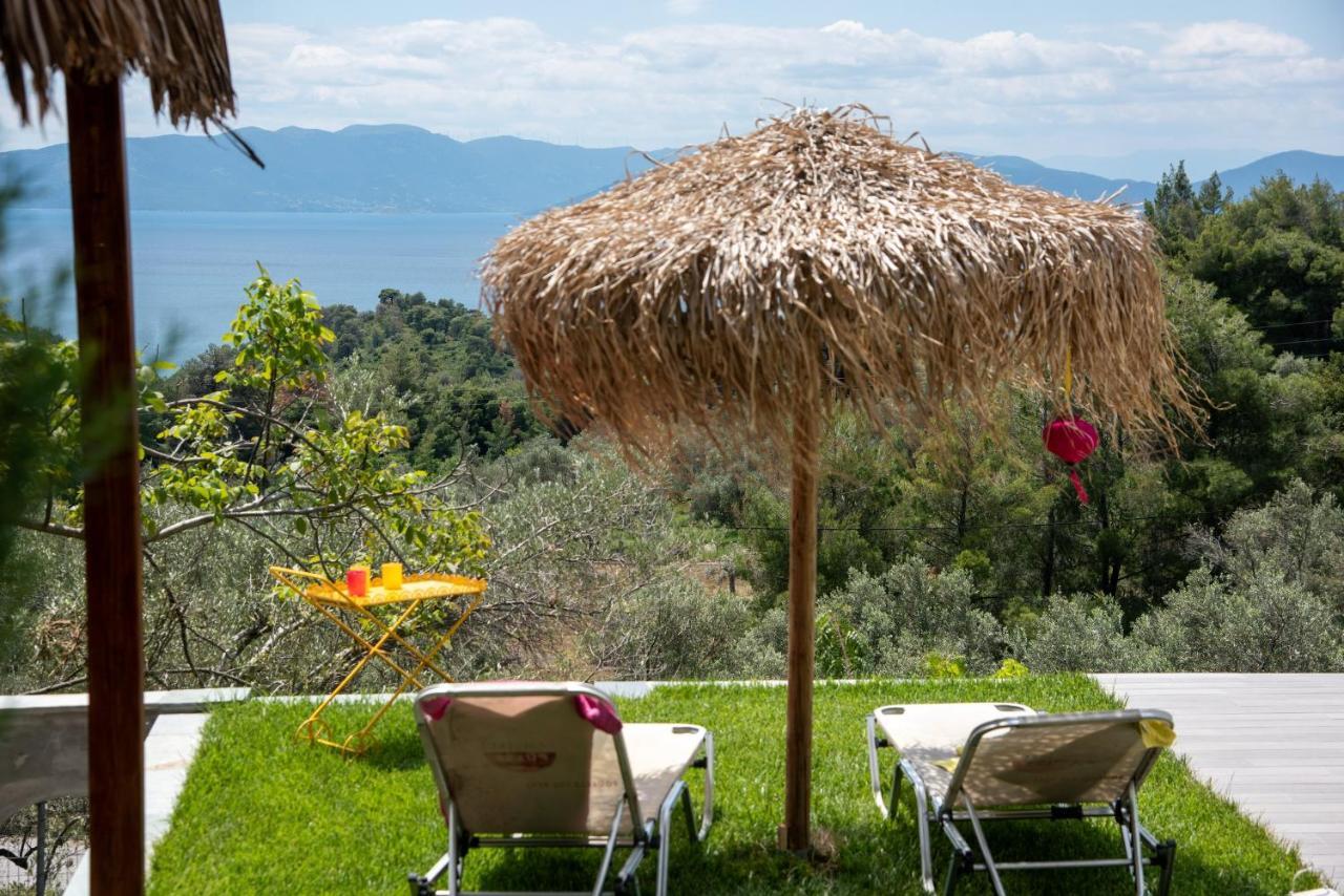 Calypso With Jacuzzi Pool & Sea View Villa Nerotrivia