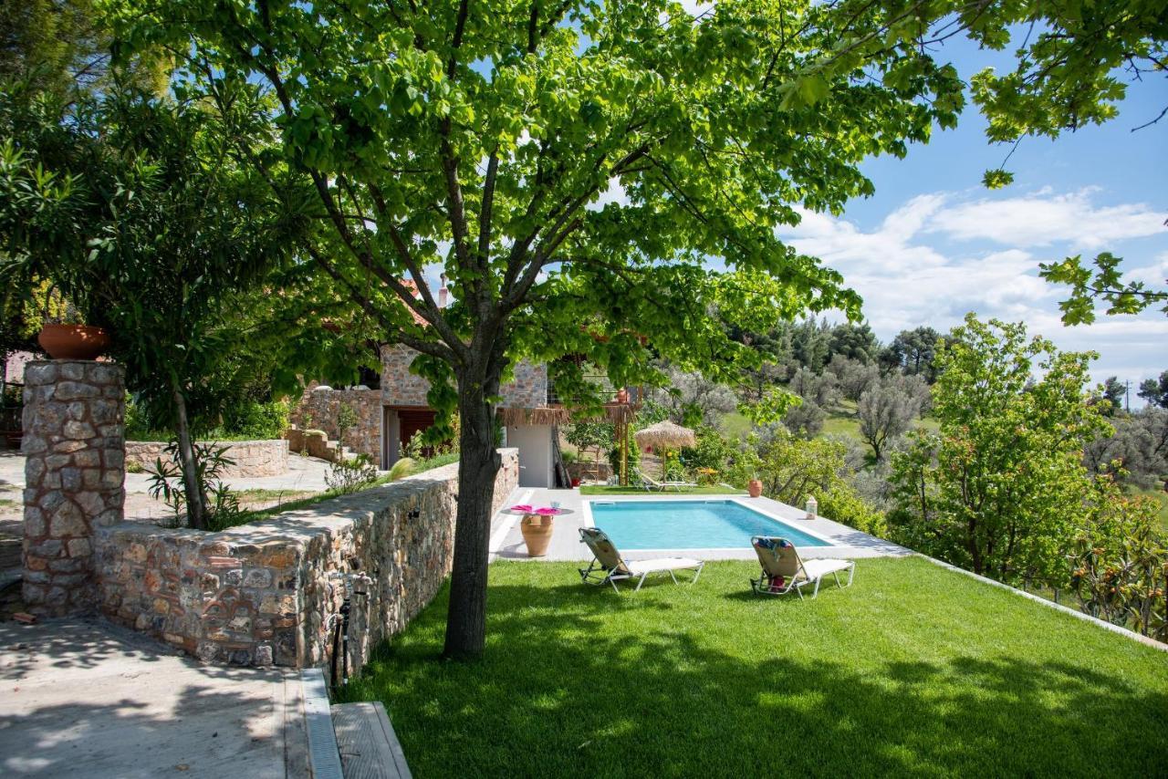 Calypso With Jacuzzi Pool & Sea View *